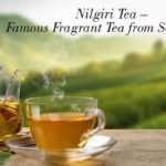 Nilgiri tea - fragrant tea