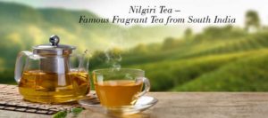 Nilgiri Tea –  Famous Fragrant Tea from South India
