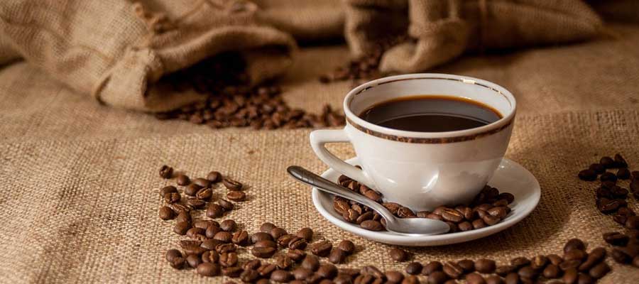 Everything You Need To Know About Coffee